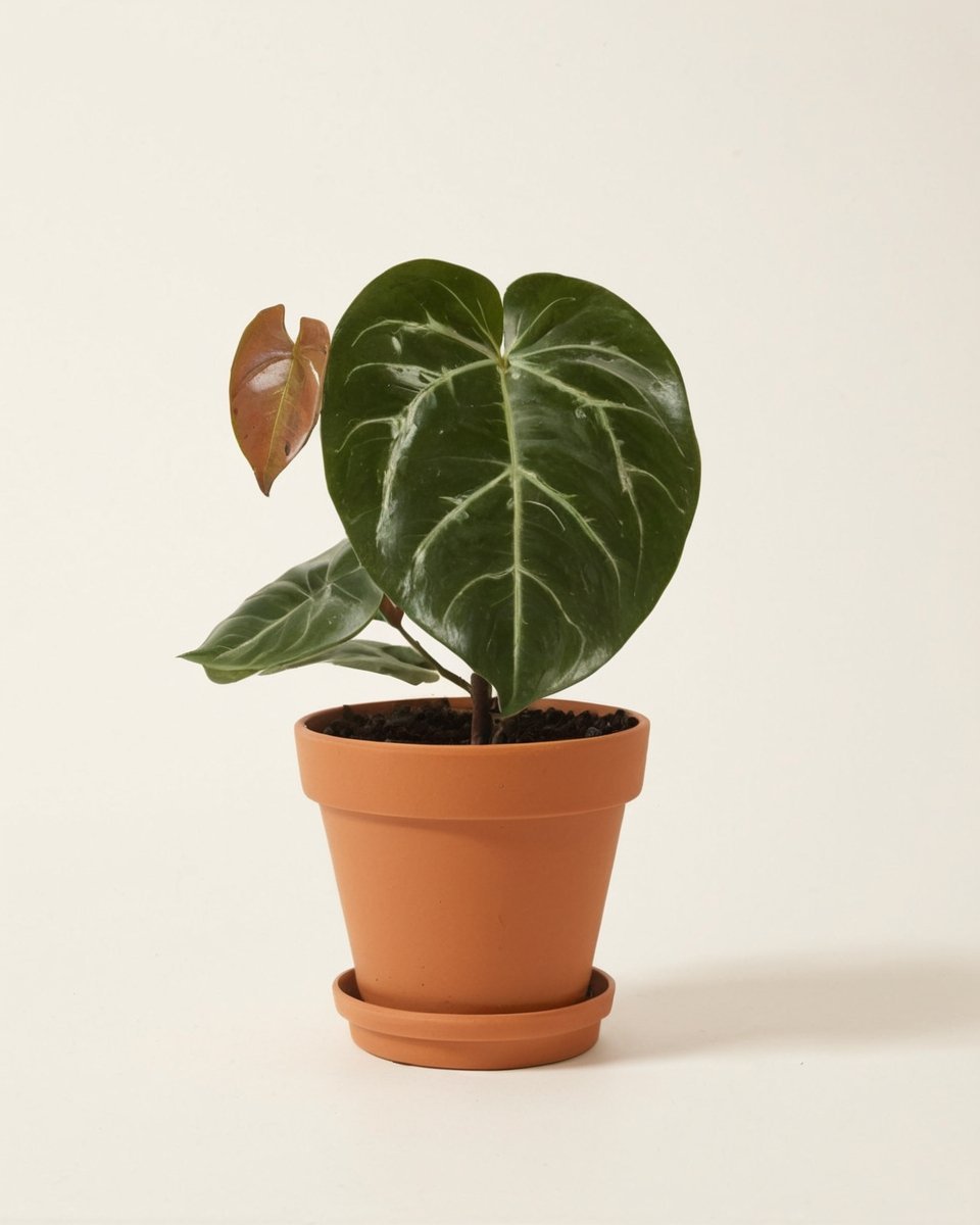 Krystalin - obrazek 3