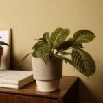 Doniczka Frigo w kolorze zielonym