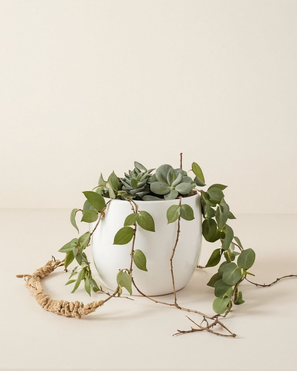 Doniczka Wex biała - obrazek 3